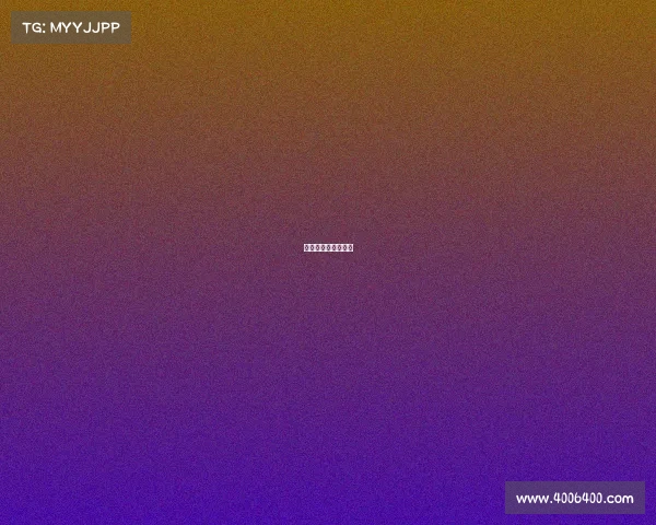 国内外主要赛事介绍